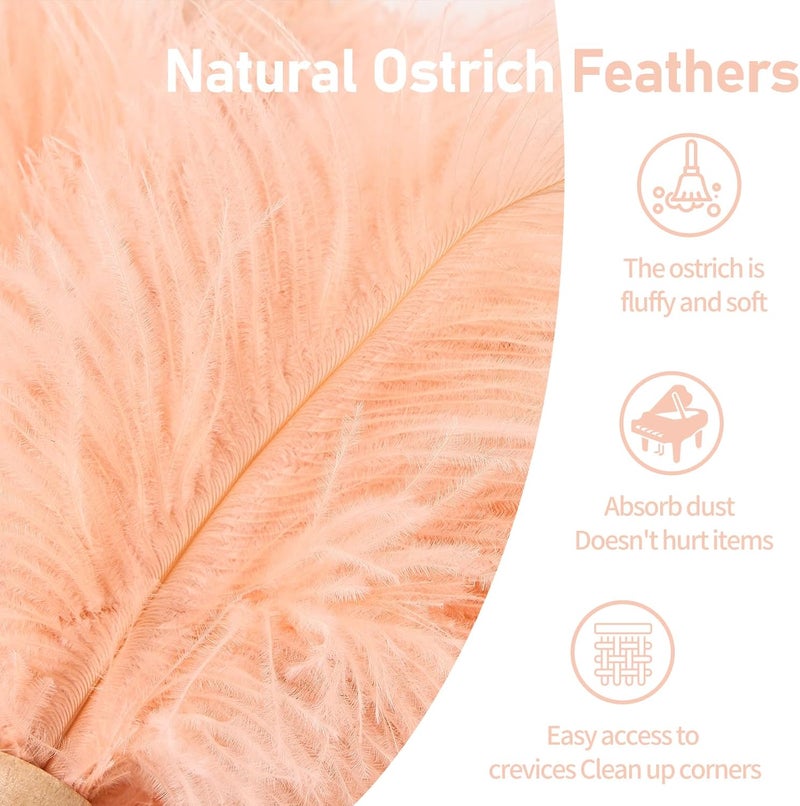 MehelloFeather Ostrich Feather Duster 12 Inch Handheld Duster Supplies, Wooden Handle Feather Duster for Cleaning Keyboard Home Car Office (Champagne) - Image 3